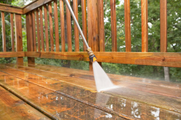 Best Driveway Pressure Washing  in Regency At Monroe, NJ